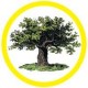 Mother Earth News