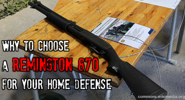 Remington model 11 home defense Remington model 11 home defense