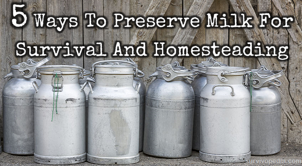 Canning Milk