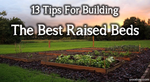 Raised beds