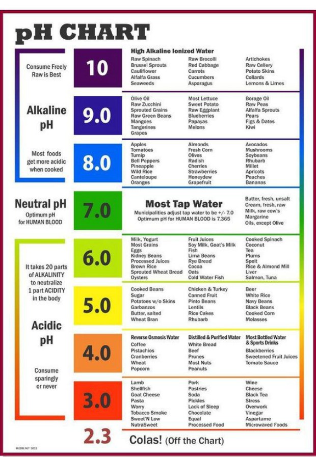 How To Measure Water PH At Home Survivopedia how-to-measure-water-ph-at-home-survivopedia
