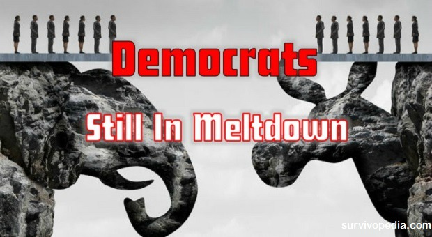 Survivopedia-Democrats-Still-In-Meltdown