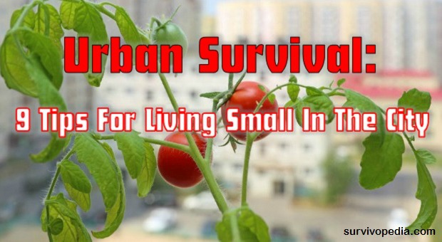 Living Small In The City 