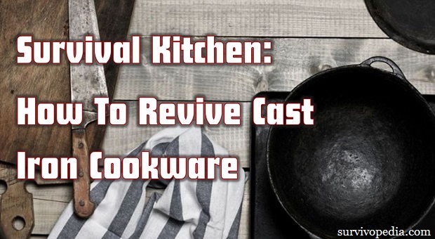 SVP cast iron skillet final