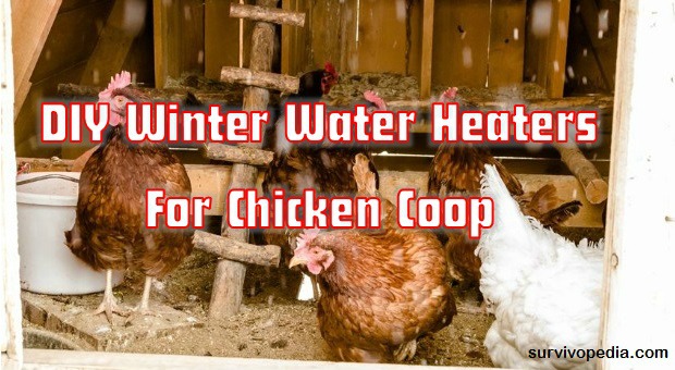 DIY Water Heater Coop 