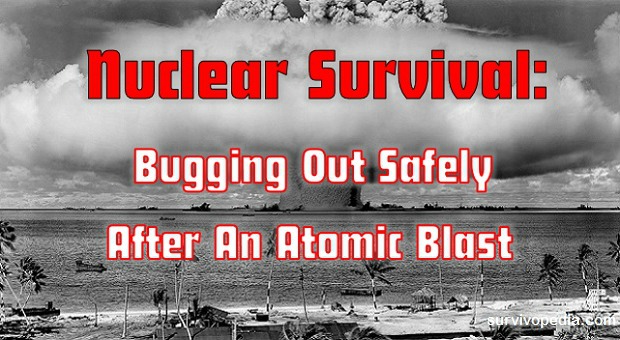 Nuclear Survival 