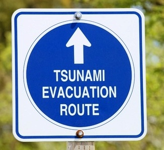 9343130 - tsunami roadsign near pescadero, california