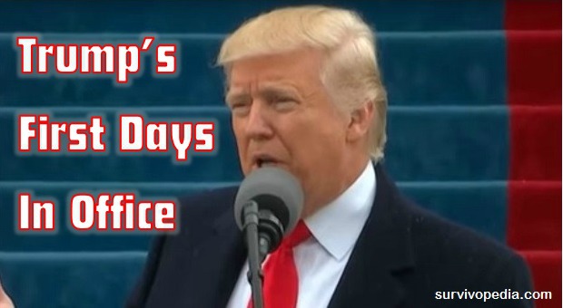 Trump's First Days In Office 
