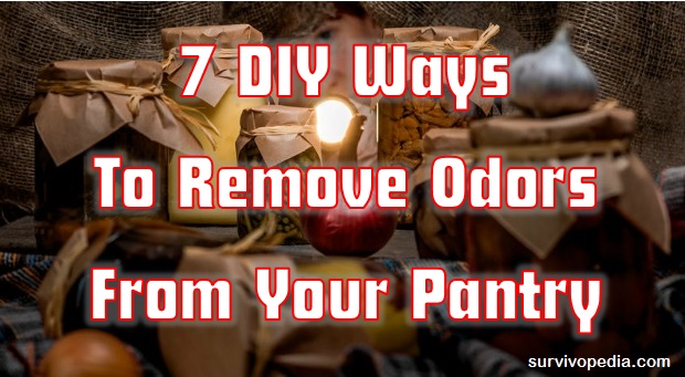 Survivopedia_7_DIY_Ways_To_Remove_Odors_From_Your_Pantry
