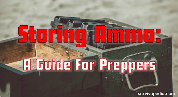 Storing Ammo