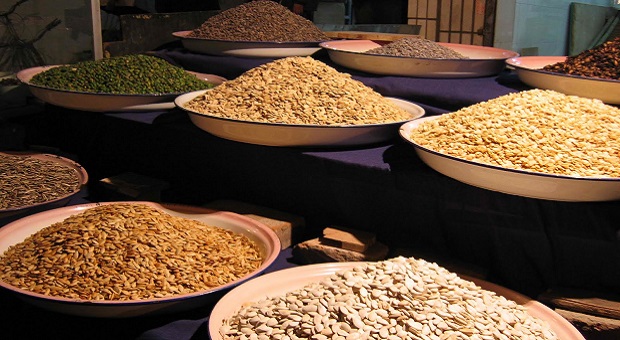 Plates of seeds to save for a survival garden