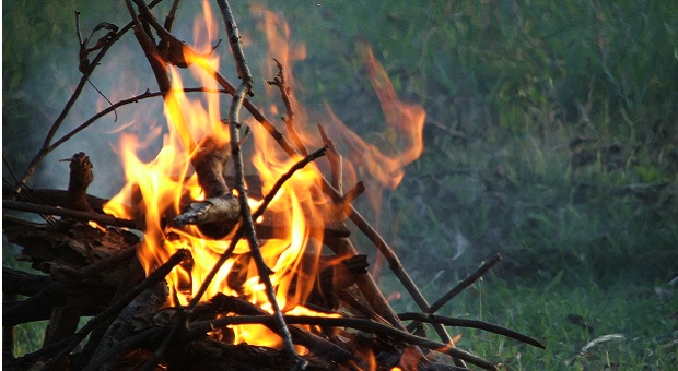 Survival fire camp detail in the wilderness