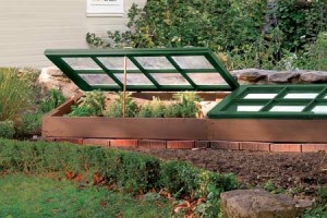 cold frame greenhouse