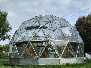 Biodesic dome