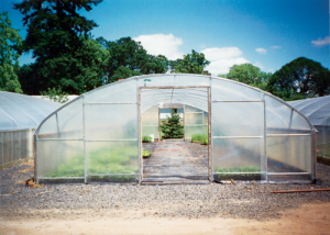 quonset greenhouse