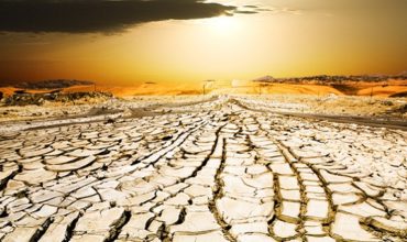 sunset on the dried ground