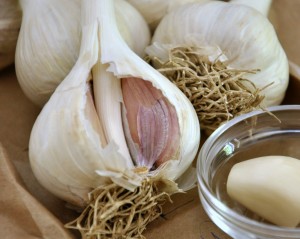 garlic