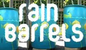 DIY rain barrels