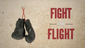 Fight Flight