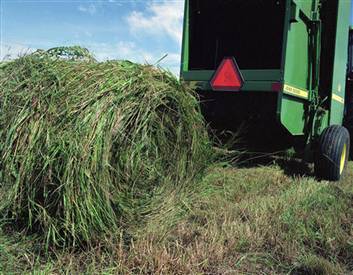 switchgrass_harvest