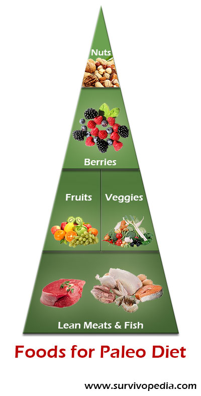 infographicPyramidFood2