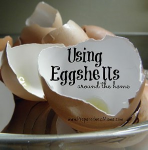 eggshells