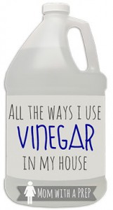 vinegar