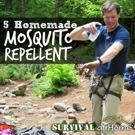 Small - Review - 5-homemade-mosquito-repellents-promo