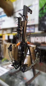 compound-crossbow-bow