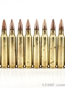 Survivopedia Ammunition Stockpile