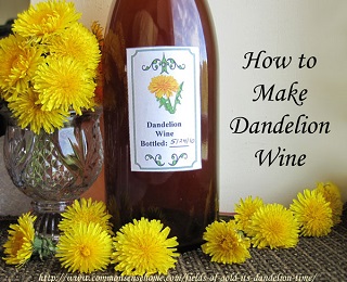survivopedia dandelion wine