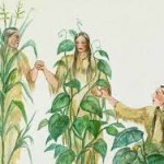 Survivopedia Gerdening