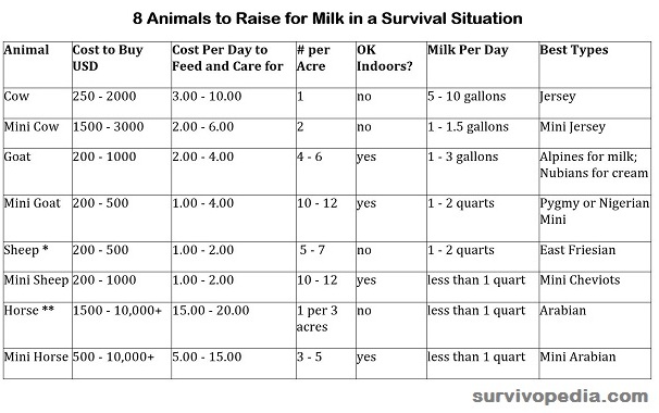 milk animals