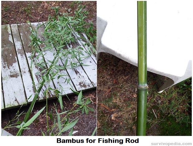 Survivopedia DIY Bamboo Fishing Rod 