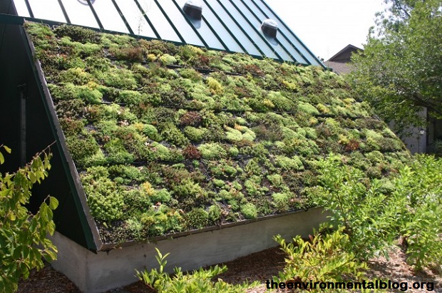 GREEN ROOF 2