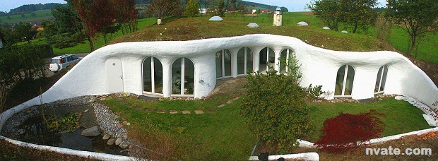 green roof 1