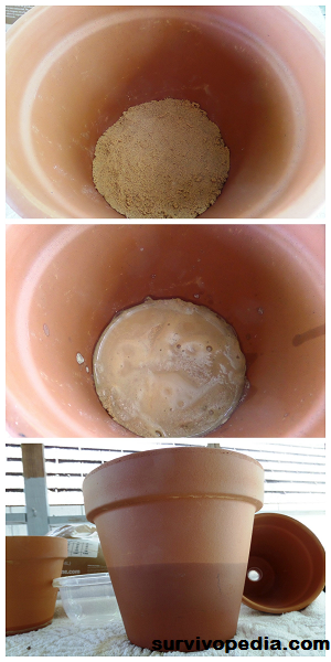 step 3