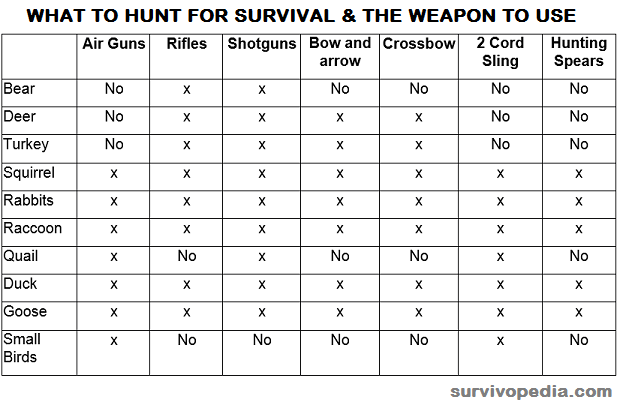 what to hunt