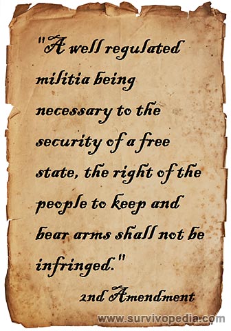 Survivopedia_2nd-Amendment