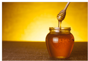 Survivopedia when to harvest honey