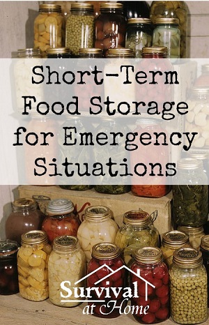 Survivopedia food storage for emergency situations