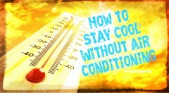 survivopedia extreme heat