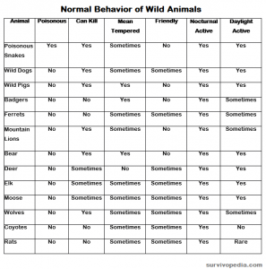 Surviving In The Woods: How To Deal With Wild Animals – Survivopedia