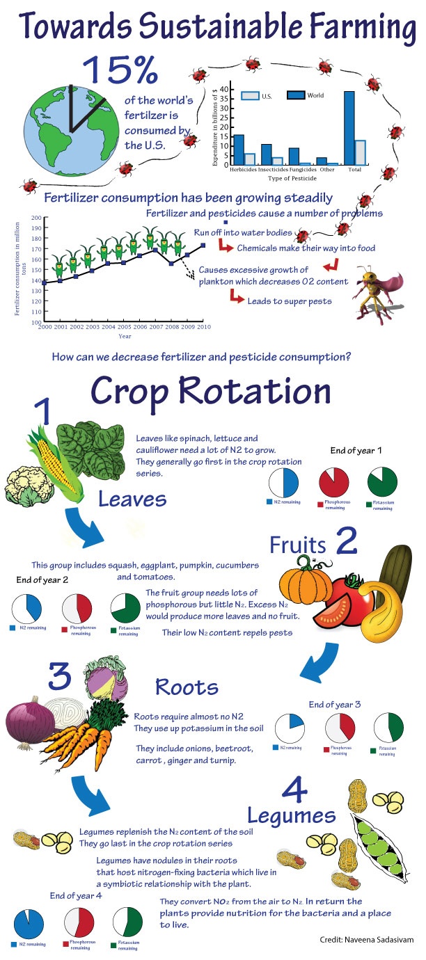 Small Crops 1