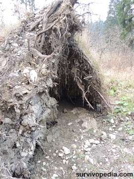 Tee Pee like shelter in the woods