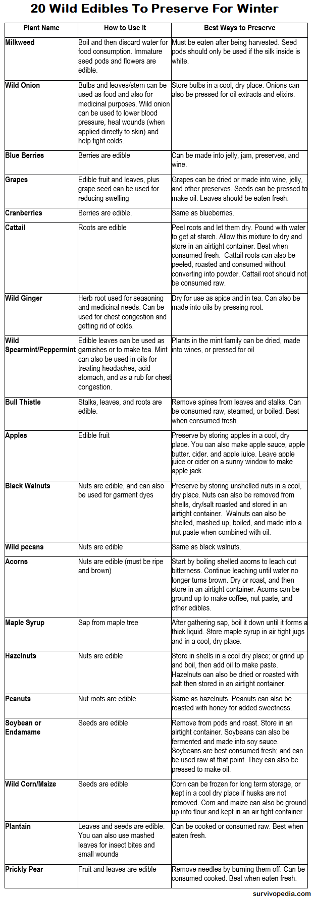 List of 20 Wild Edibles