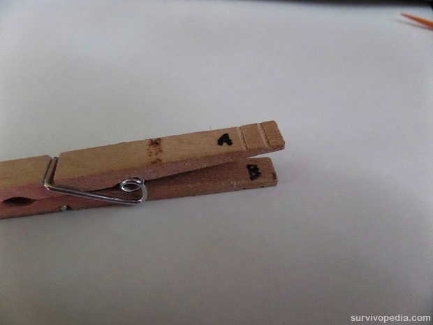 Label each of the back wings of the clothespin