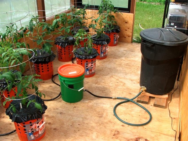 Alaska Grow Bucket System