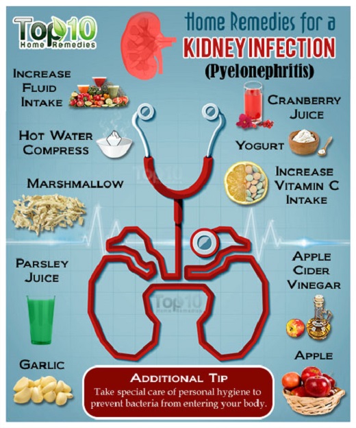 Kidney Infection Infographic
