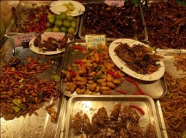 Bugs sold as food
